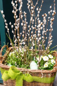 Bellis perennis, Buxus (Genus), Easter eggs, Easter, Goat Willow