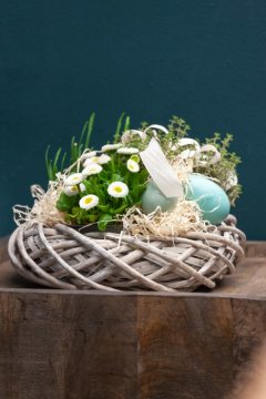 basket, Bellis perennis, Easter eggs