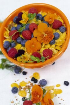 Gesunde Ernährung, Raspberry, Vaccinium corymbosum, Viola cornuta