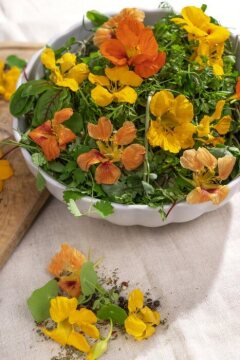 Gesunde Ernährung, Leaf salad mix, Tropaeolum majus