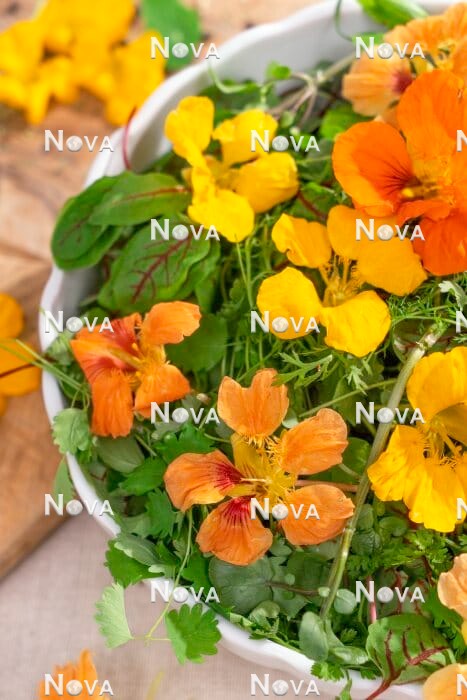 N2102389 Edible Flowers in the salad