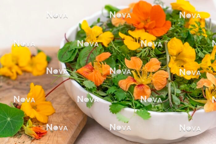 N2102392 Edible Flowers in the salad