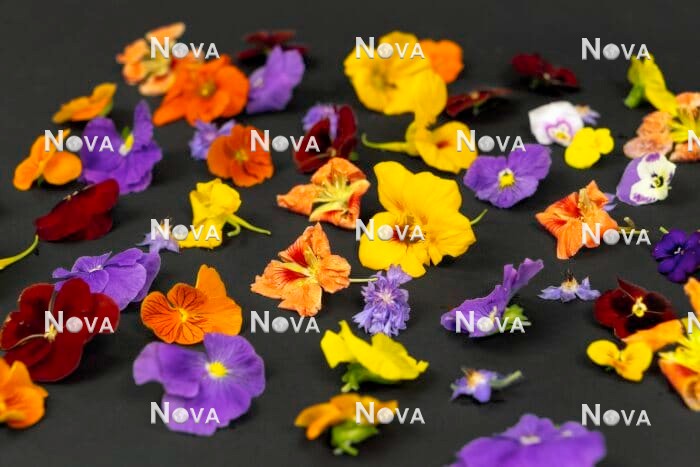N2102448 Edible Flowers