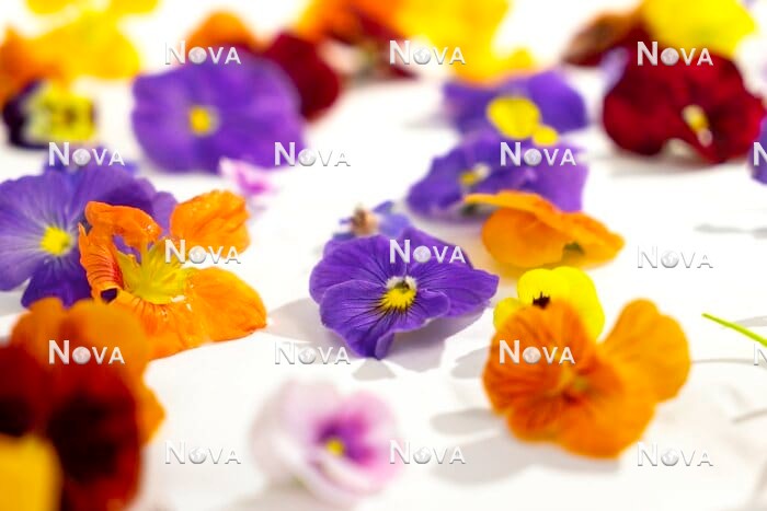 N2102439 Edible Flowers