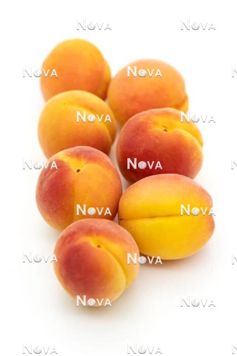 N0703606 Prunus Sekerpare