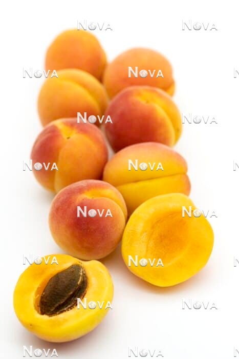 N0703610 Prunus Sekerpare