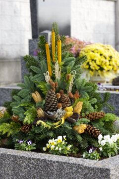 Cemetery, Grab, Grabdekoration, Grave Decoration, pinecone, Reisig, Viola cornuta
