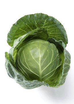 oxheart cabbage, white background