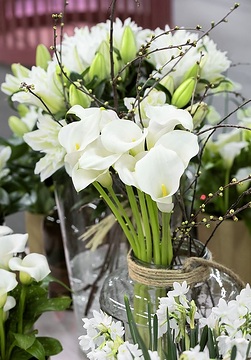 flower vase, Schnittblume, Zantedeschia (Genus)