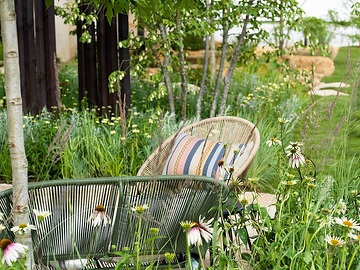 Echinacea pallida, Echinacea purpurea, Garden Furniture, Recreation, terrace, Terrassengarten