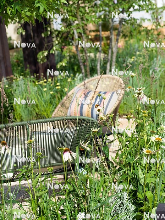 N1007934 Garden terrace with Echinacea
