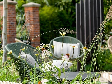 Echinacea pallida, Echinacea purpurea, Garden Furniture, Recreation, terrace, Terrassengarten